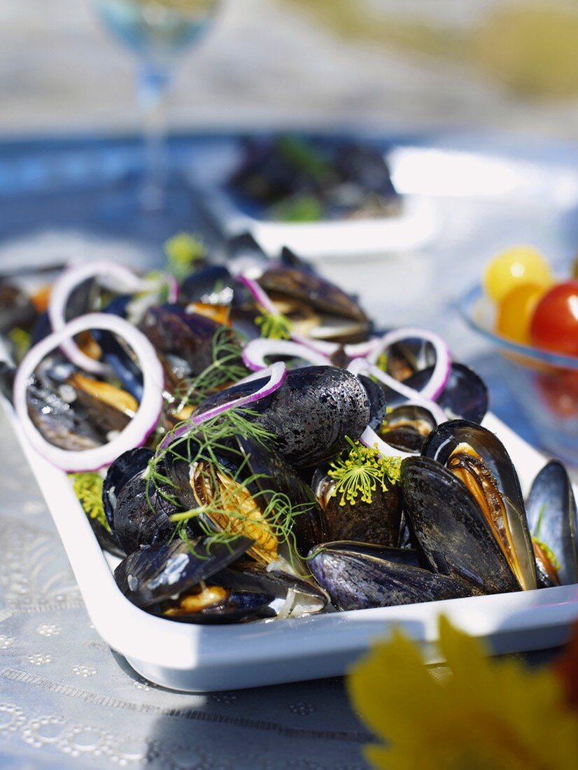 Mussels