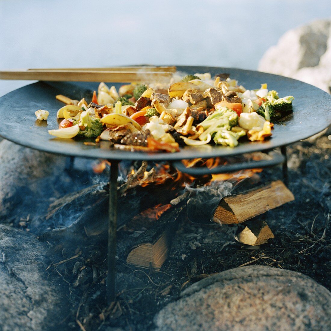 Meat and vegetables in wok on open fire