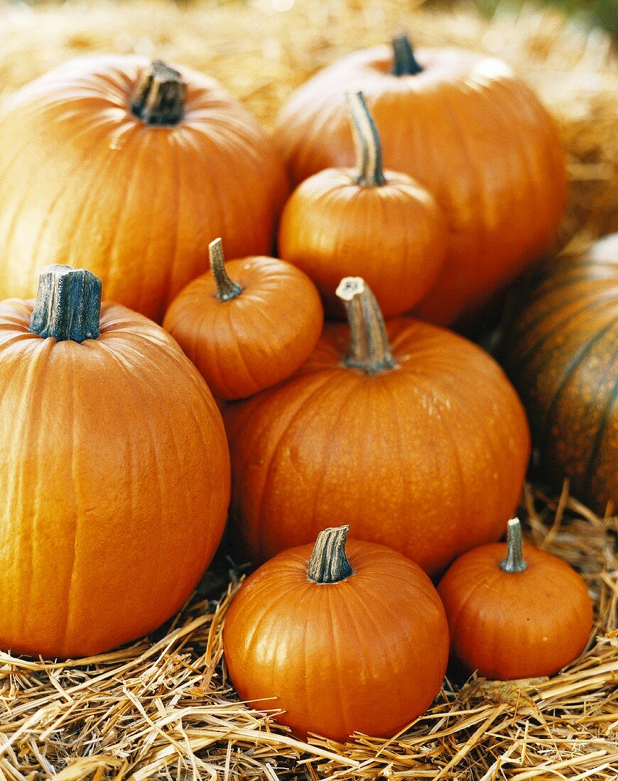 Orange pumpkins