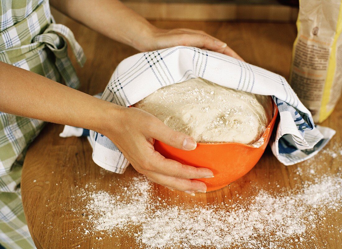 Yeast dough in a bowl