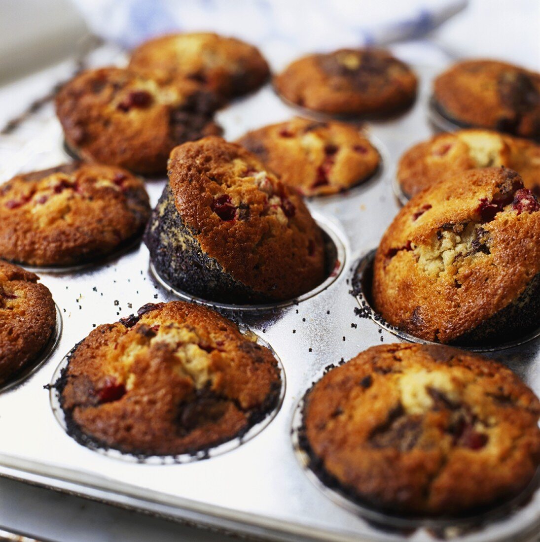 Cranberry muffins in a muffin tin