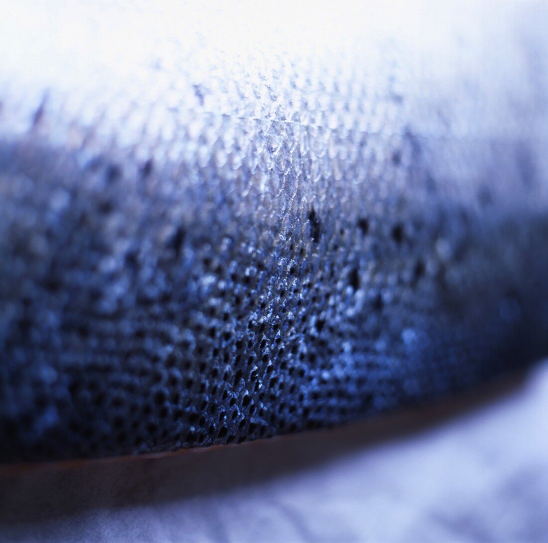 Fresh salmon (close-up)