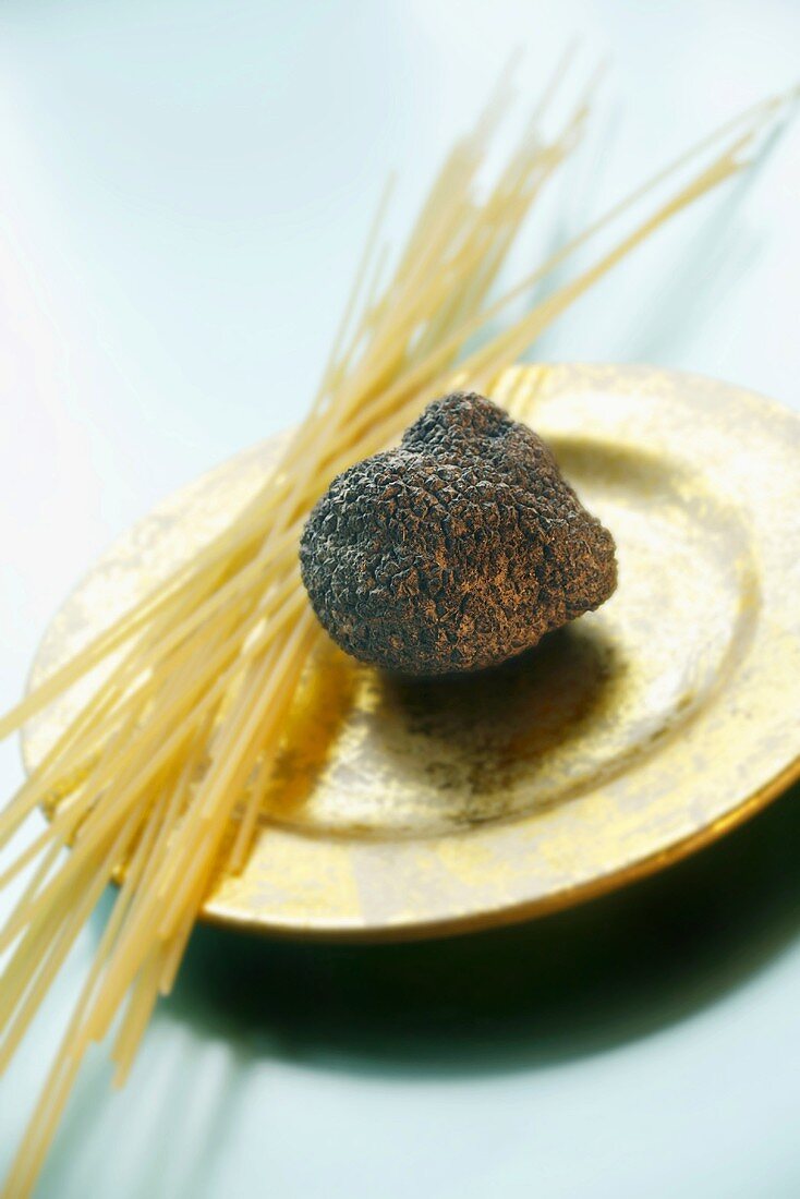 Black truffle (Périgord truffle) and spaghetti on plate