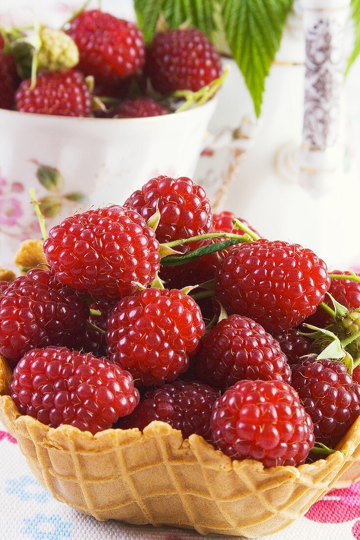 Raspberries in wafer basket