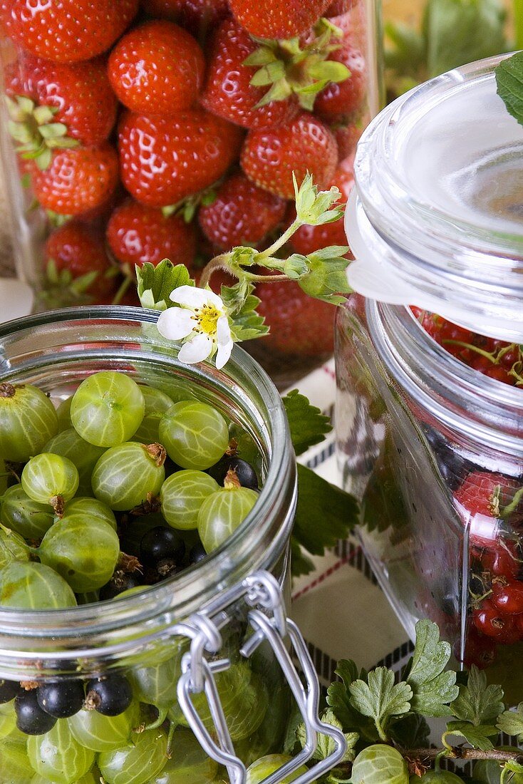 Frische Beeren in Einmachgläsern