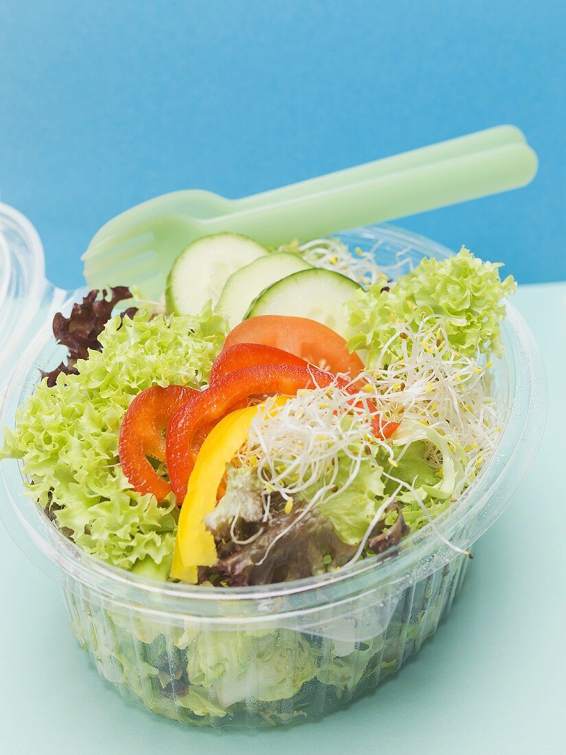Gemischter Blattsalat mit Paprika, Gurken und Sprossen in Plastikschale zum Mitnehmen