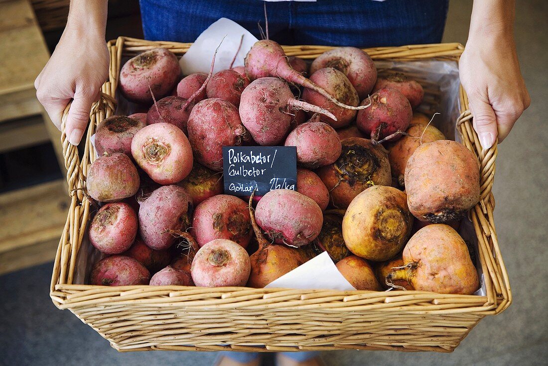 Hands holding basket of fresh turnips