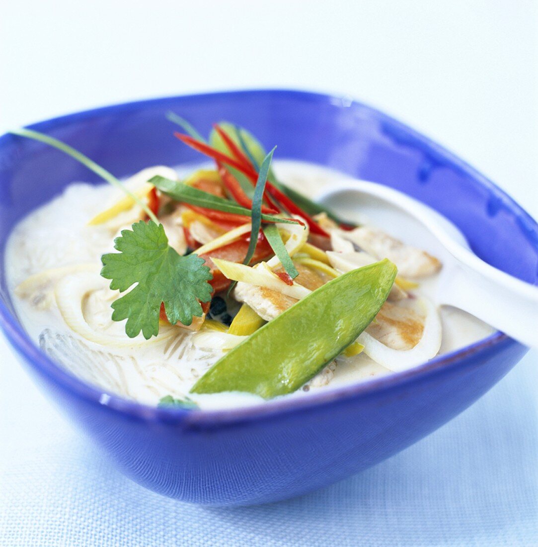 Vegetable soup with coconut milk (Thailand)