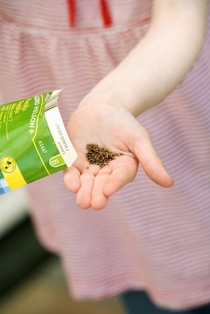 Kleines Mädchen schüttet Samen aus Tüte in ihre Hand