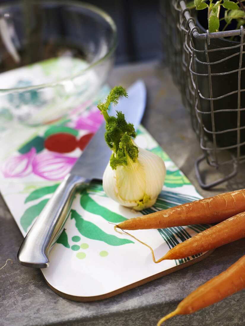 Fenchel, Möhren, Messer und Schale auf buntem Schneidebrett