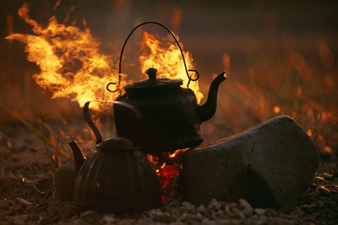 Teekessel am Lagerfeuer (Chukotka, Sibirien, Russland)