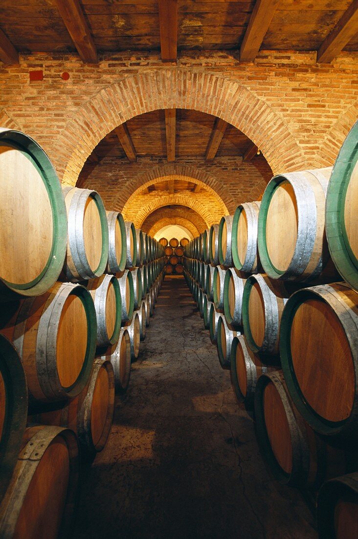 Weinkeller (Spanien)