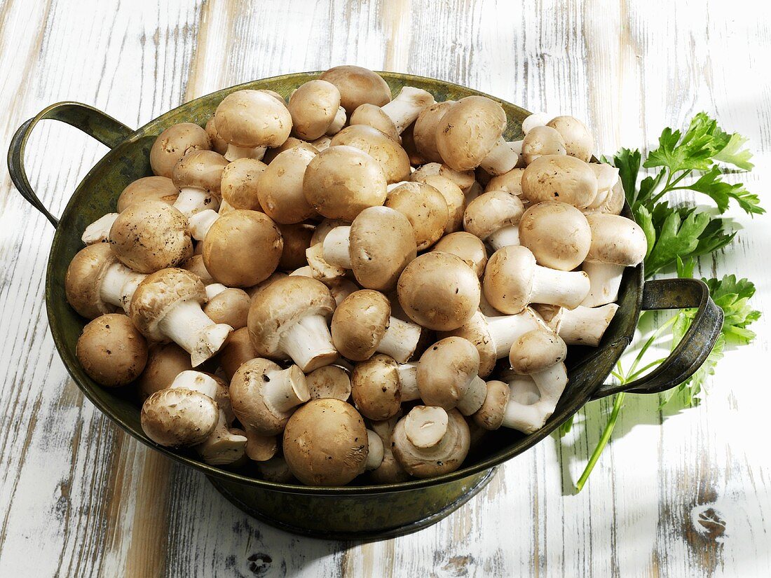 Chestnut mushrooms in metal container