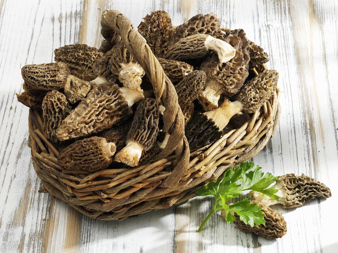 Back morels in basket