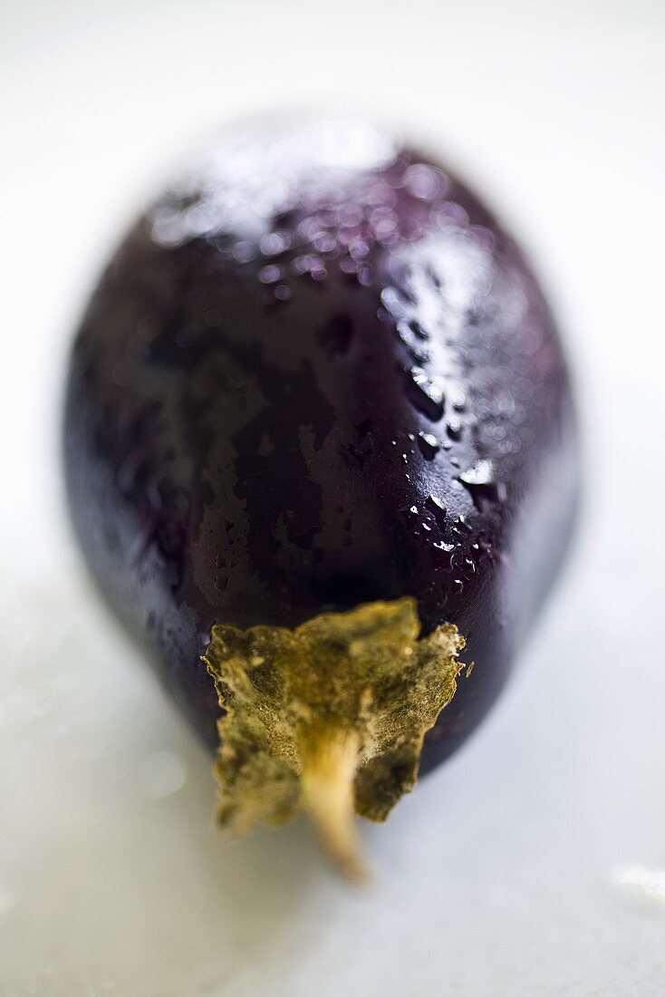 An aubergine with drops of water