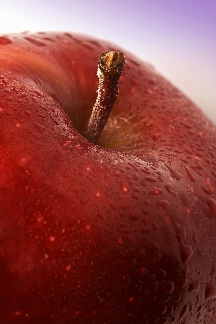 Roter Apfel mit Wassertropfen (Close Up)