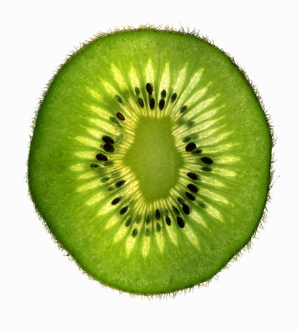 Slice of kiwi fruit, backlit