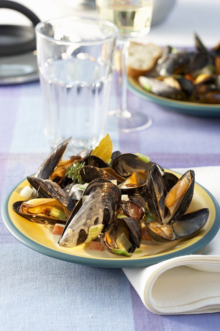 Steamed mussels in white wine cream sauce