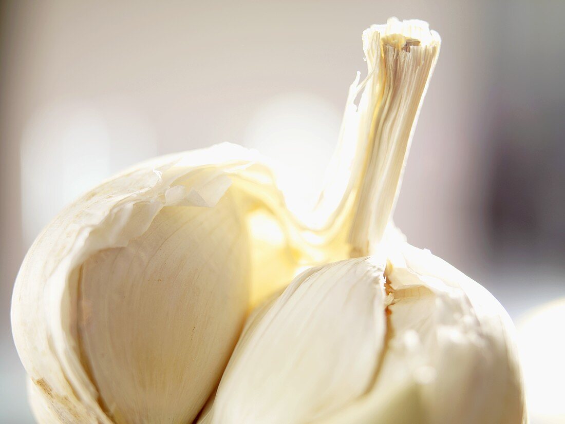 Garlic bulb, broken open (close-up)