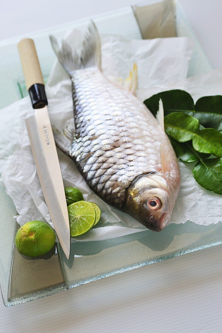 Ein Hasel mit Limetten (Flussfisch, Thailand)