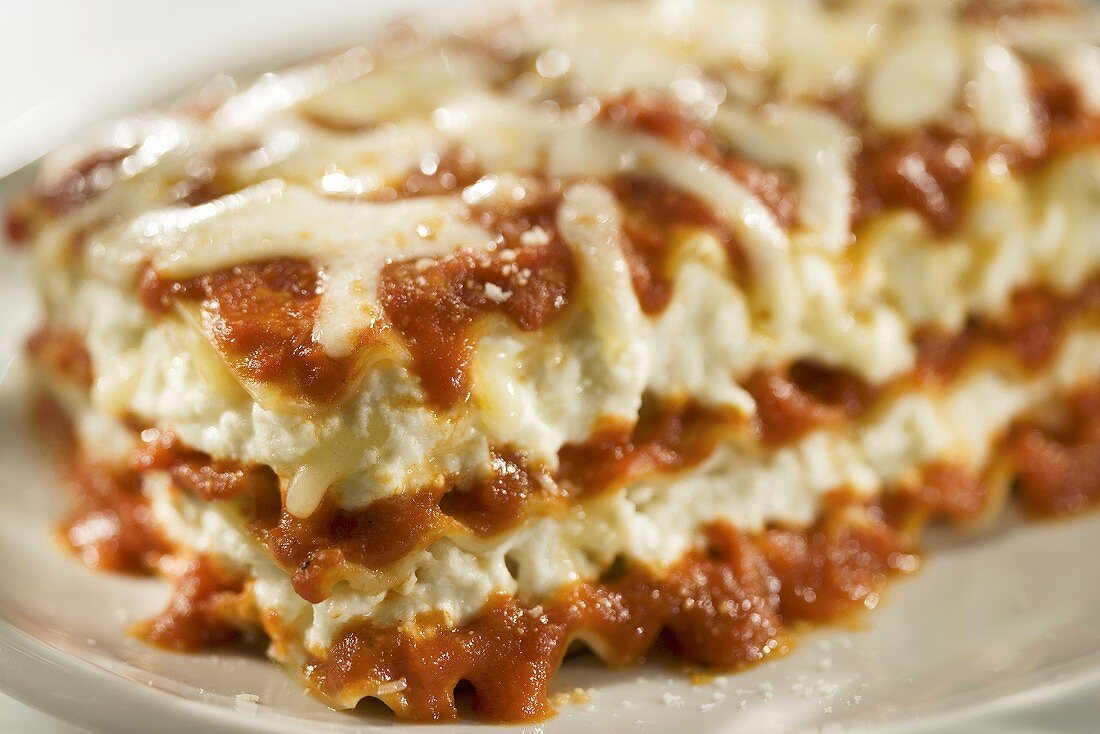 Piece of Lasagna; Close Up