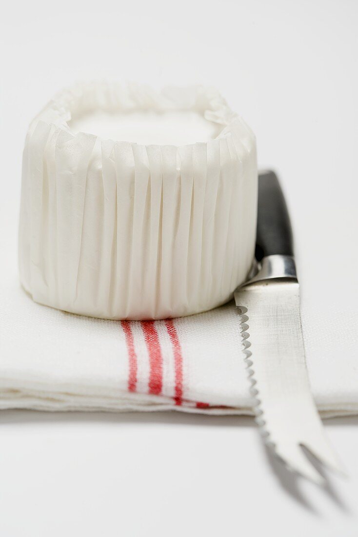 Goat's cheese and cheese knife on tea towel