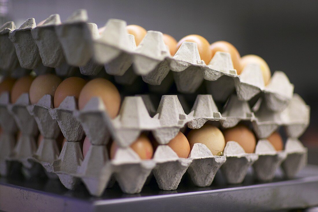 Fresh hens' eggs in egg trays