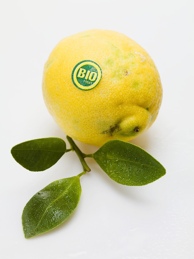 Eine Bio-Zitrone mit Blättern