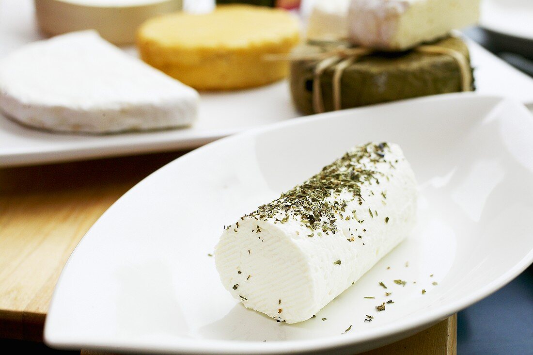 Fresh goat's cheese with herbs, various cheeses behind