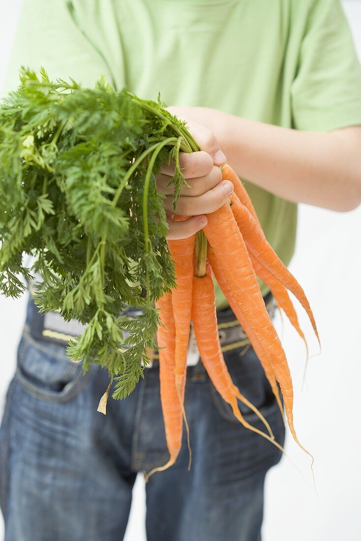 Child holding fresh carrots