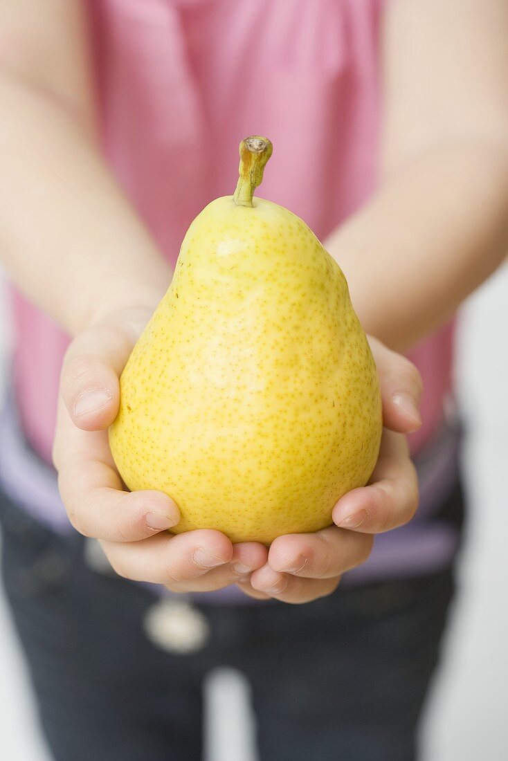 Child holding Williams pear