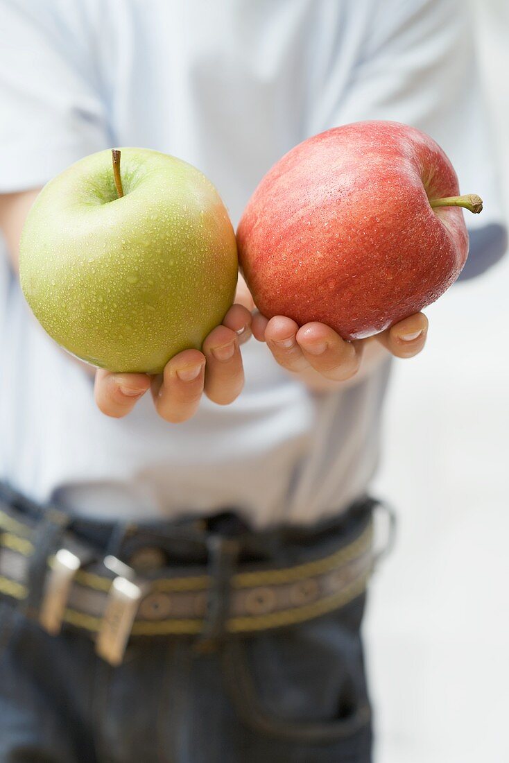 Kind hält zwei Äpfel