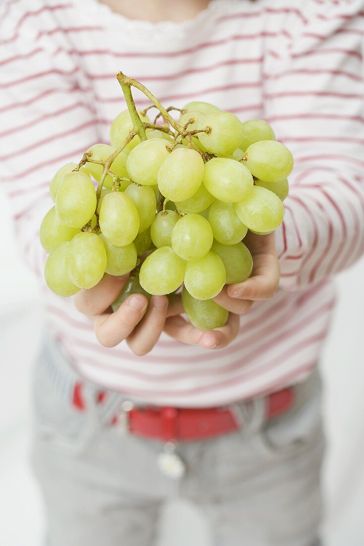 Child holding green grapes