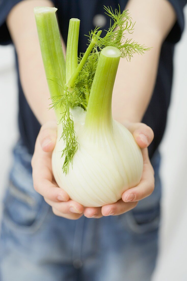 Child holding fennel bulb