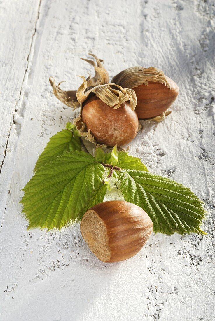 Hazelnuts with leaves