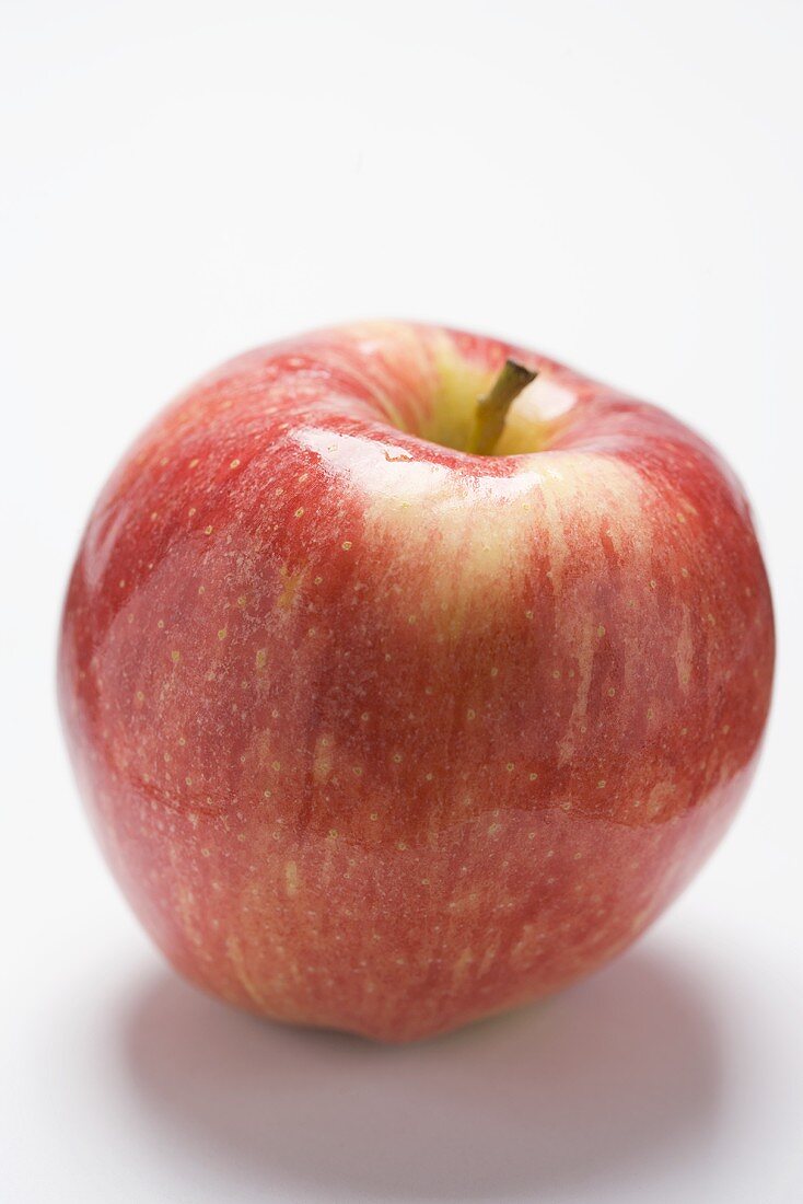 Roter Gala Apfel