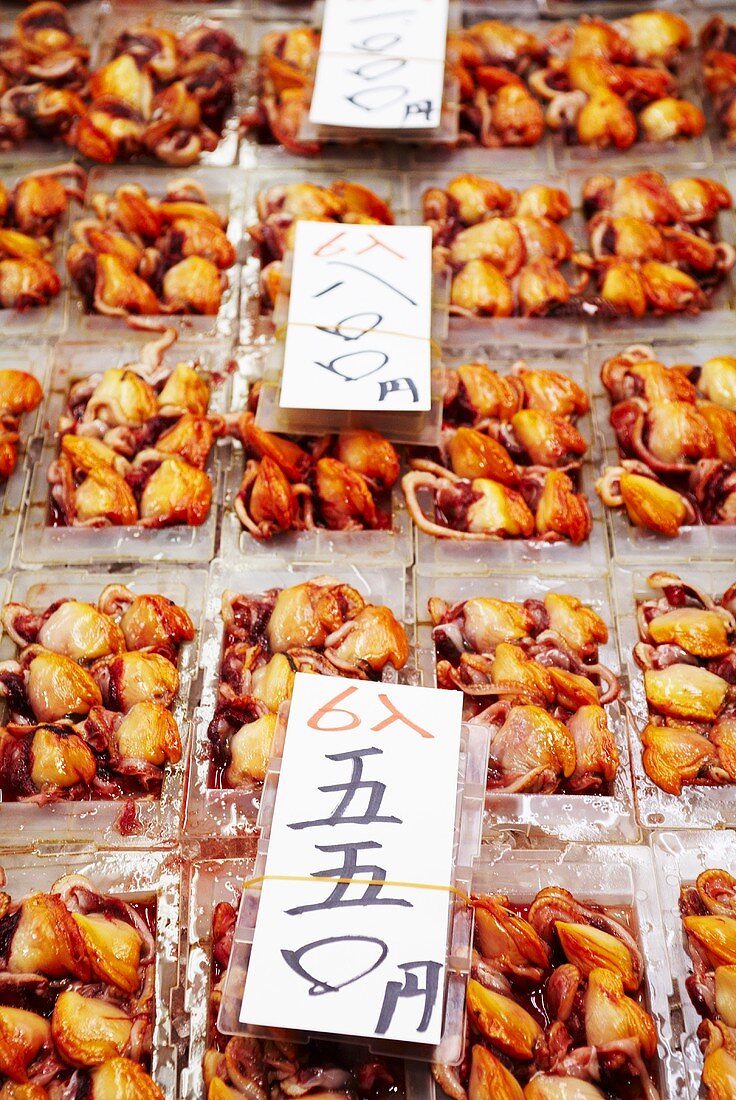 Muschelfleisch zu 440 Yen