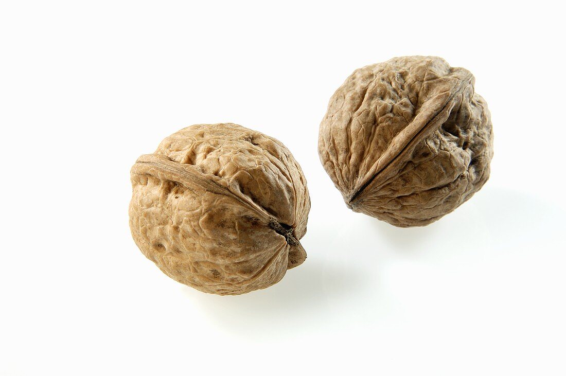 Two unshelled walnuts