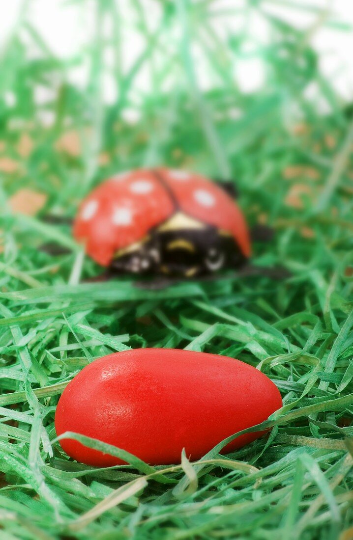 Rotes Zuckerei und Marienkäfer im Osternest