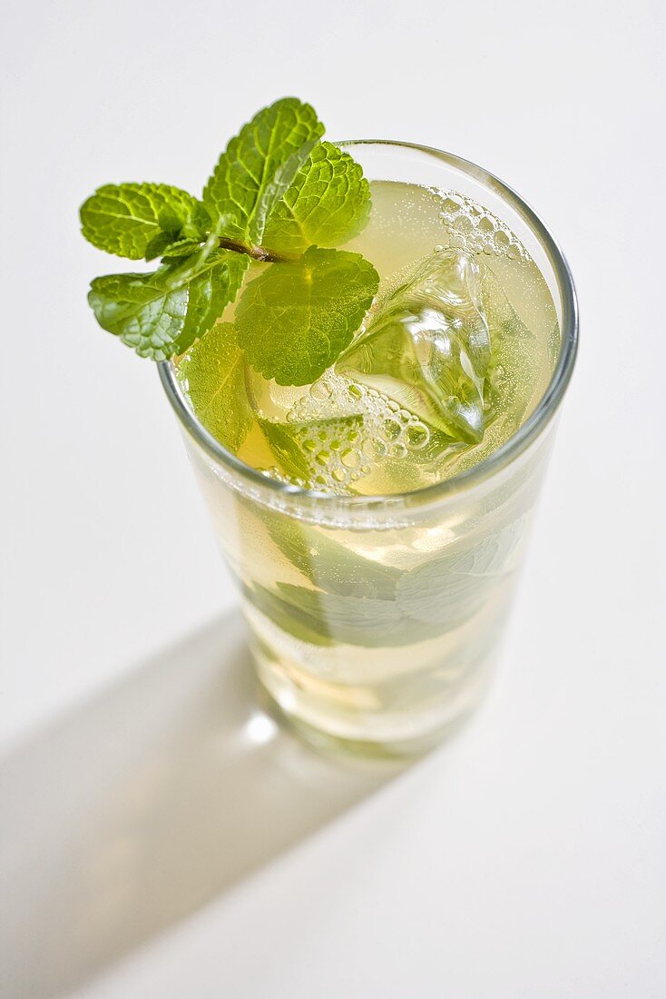 Mojito with mint
