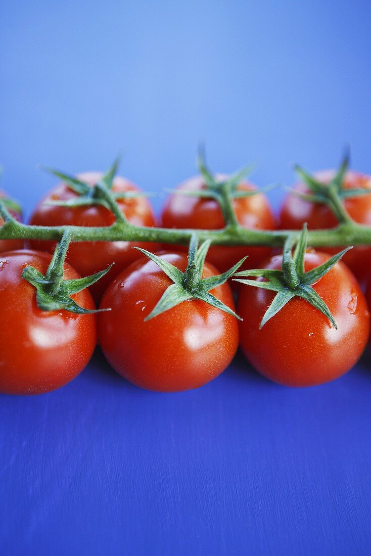 Cherry tomatoes on blue background