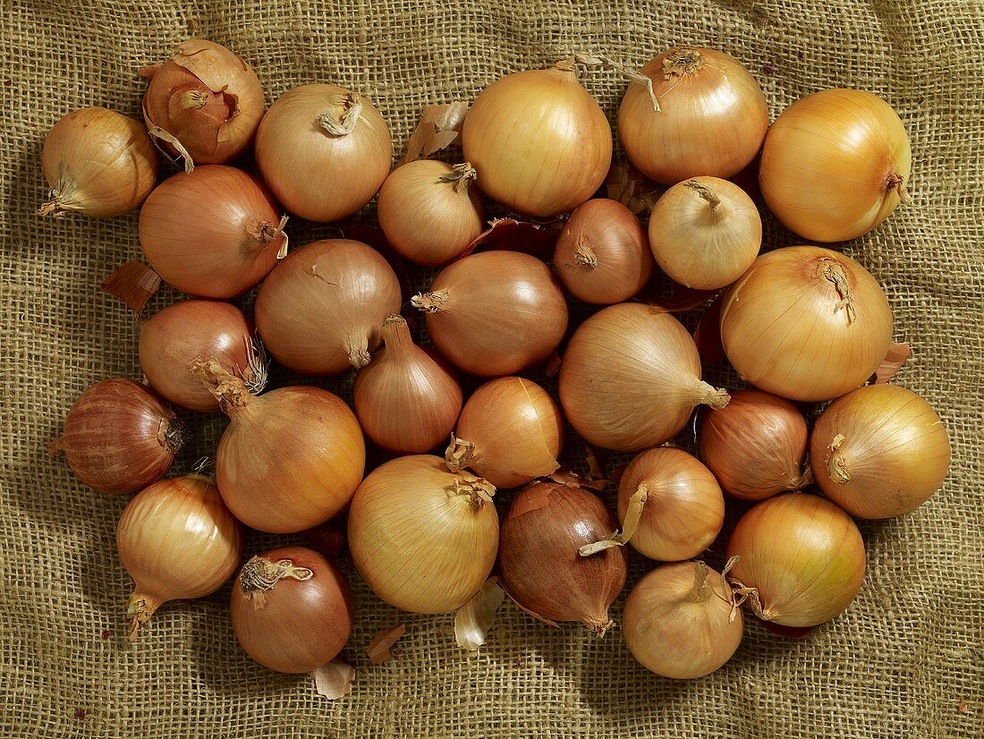 Brown onions on jute (overhead view)
