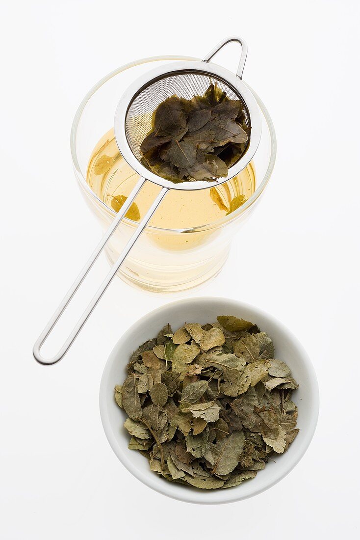 Tee von getrockneten Heidelbeerblättern