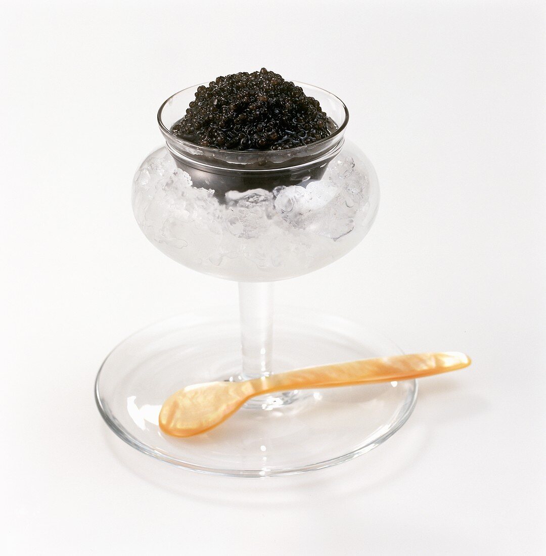 Schwarzer Kaviar im Schälchen auf Eis, Perlmuttlöffel