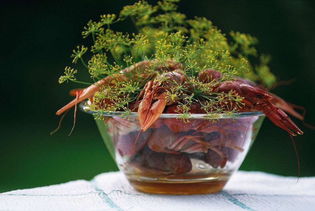 Crayfish with dill in glass bowl