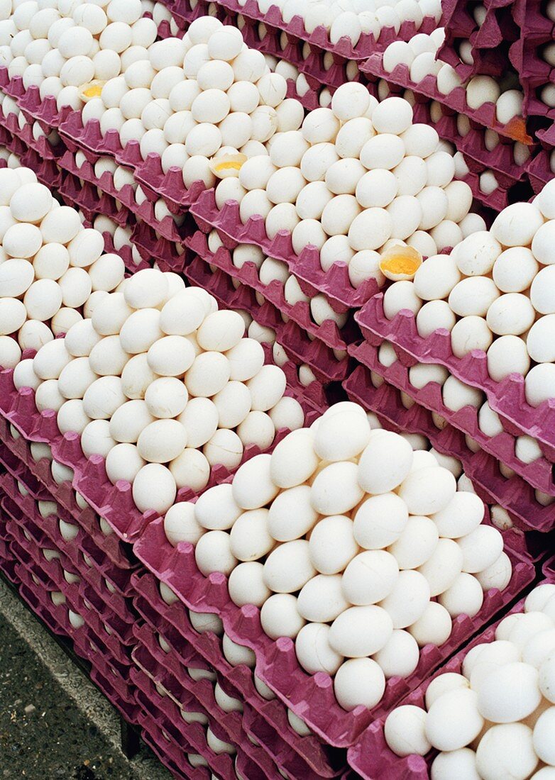 Many trays of white eggs
