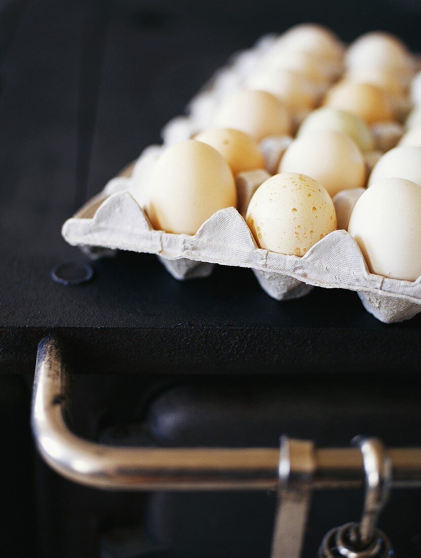 Tray of eggs on a cooker