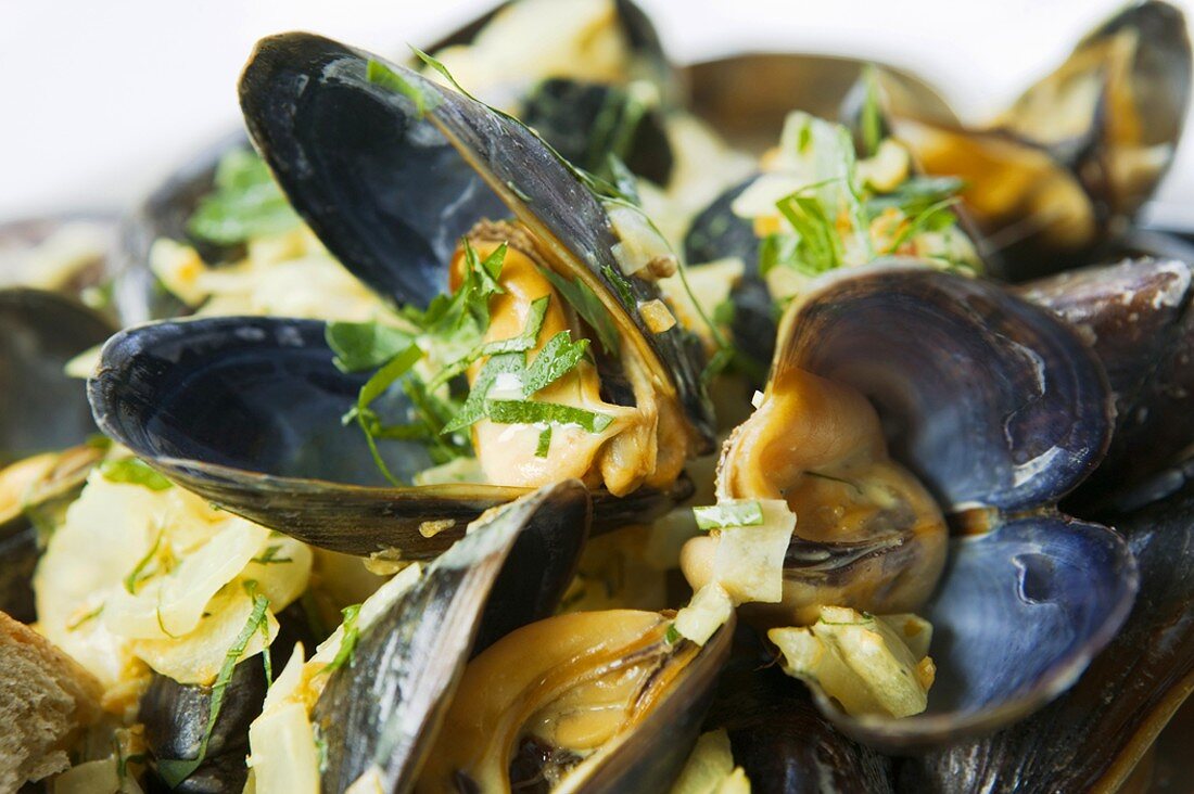 Cooked shellfish (close-up)