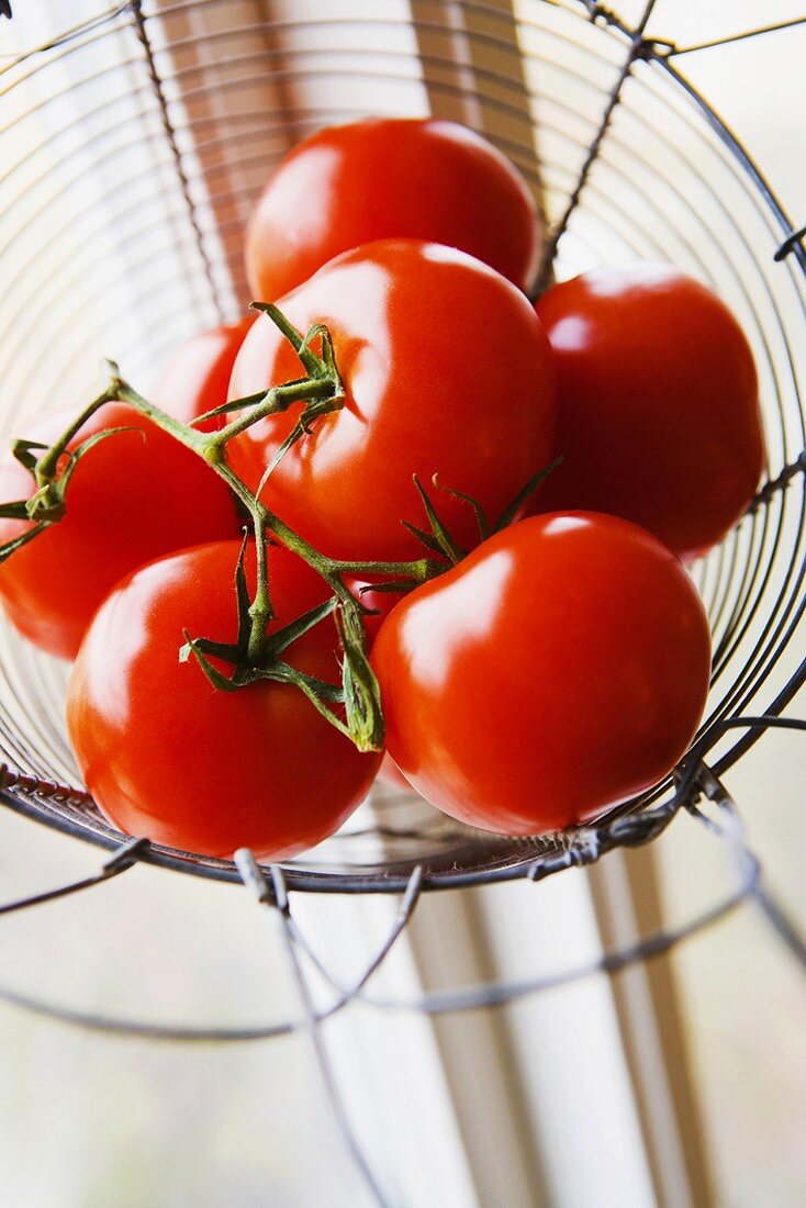 Tomatoes in wire basket