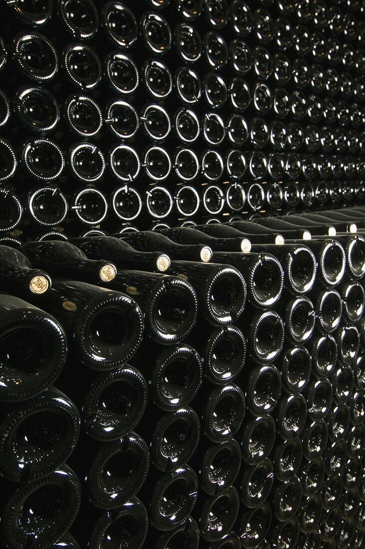 Rows of wine bottles in wine cellar
